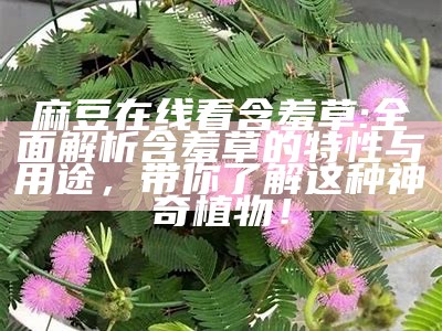 麻豆在线看含羞草: 完整解析含羞草的特性与用途，带你了解这种神奇植物！