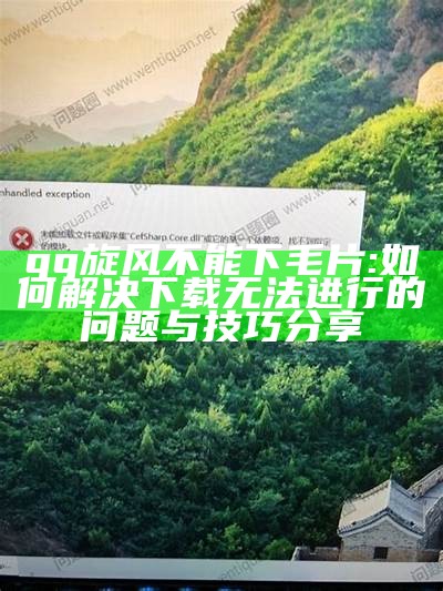 qq旋风不能下毛片: 如何解决下载无法进行的障碍与技巧分享