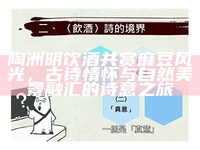 陶洲明饮酒共赏麻豆风光，古诗情怀与自然美景融汇的诗意之旅